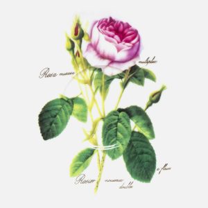 LeonarteCasa Metaverse Y03